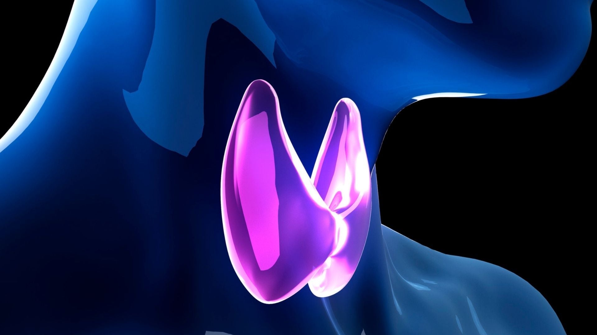 Nutrition and thyroid disorders – 10 things to do to support thyroid function - HUM2N: Longevity Shop