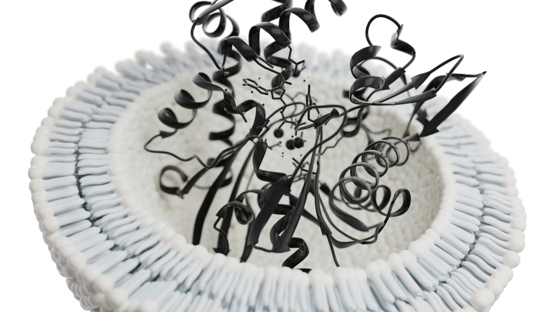 The Science Behind Exosomes - HUM2N: Longevity Shop