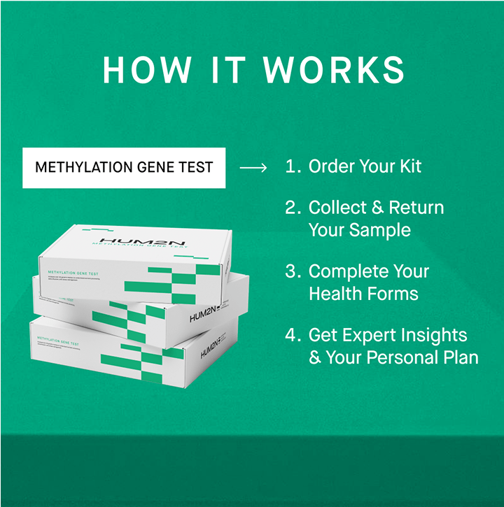 Methylation Gene Test - HUM2N: Longevity Shop