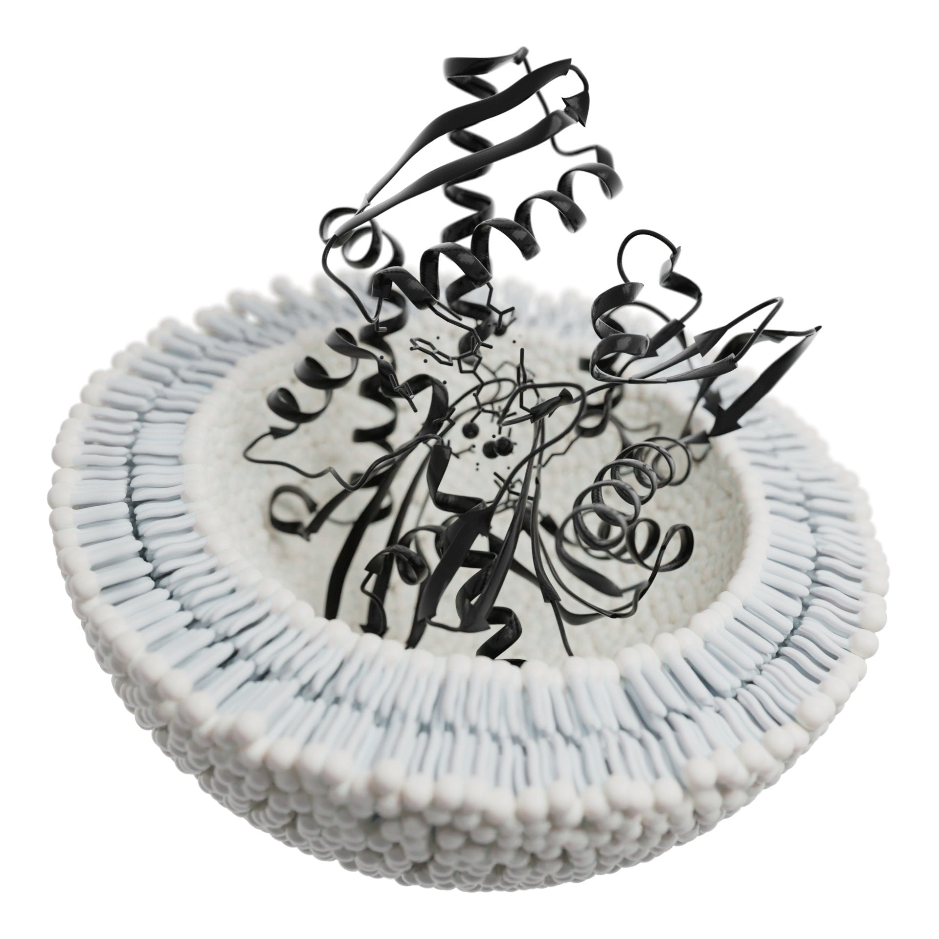 The Science Behind Exosomes - HUM2N: Longevity Shop