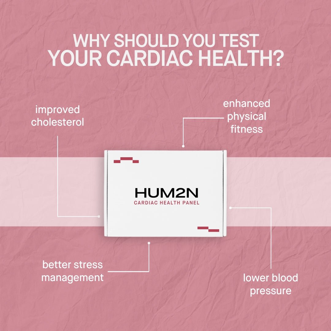 Cardiac Health Panel + Interpretation with HUM2N Health Expert - HUM2N: New Era Healthcare