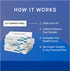 Gut Barrier Panel + Interpretation with HUM2N Health Expert - HUM2N: Longevity Shop