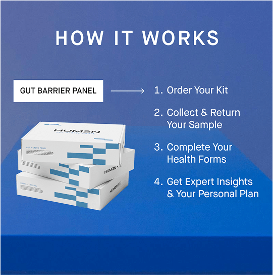 Gut Barrier Panel + Interpretation with HUM2N Health Expert - HUM2N: Longevity Shop