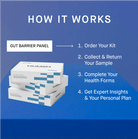 Gut Barrier Panel + Interpretation with HUM2N Health Expert - HUM2N: Longevity Shop
