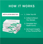 Methylation Gene Test - HUM2N: Longevity Shop