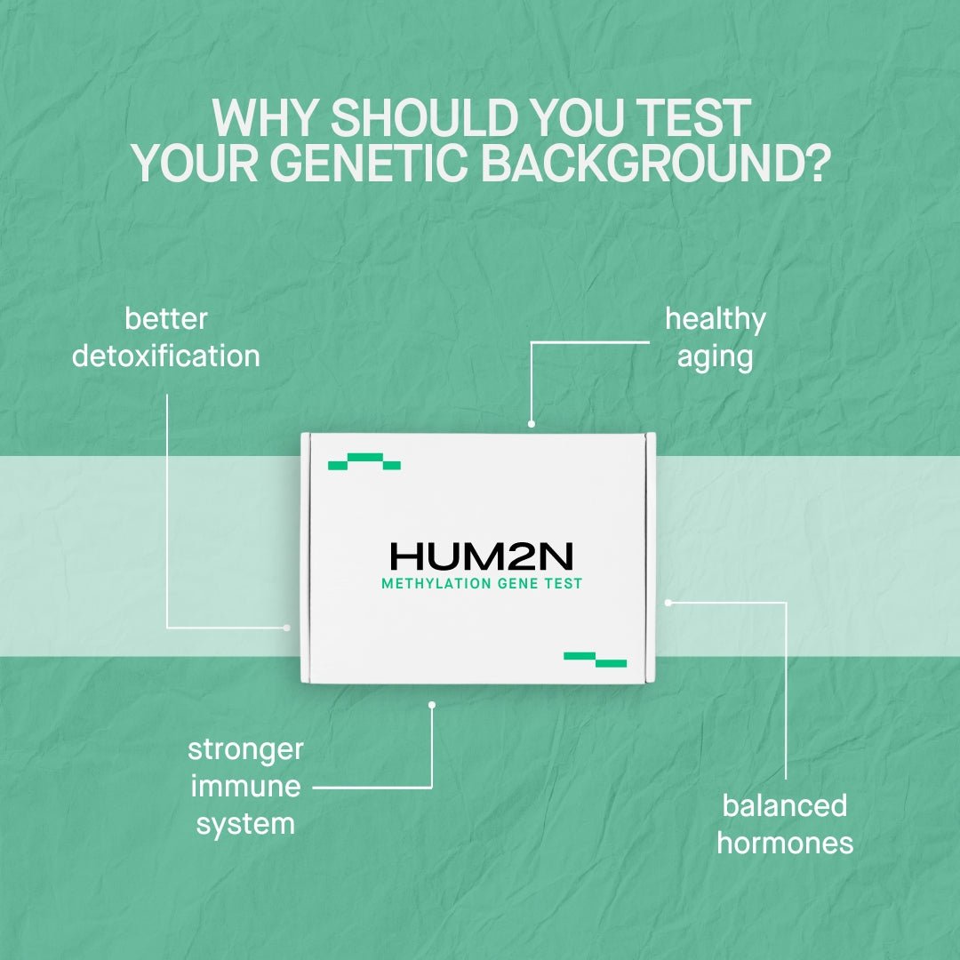 Methylation Gene Test + Interpretation with HUM2N Health Expert - HUM2N: New Era Healthcare